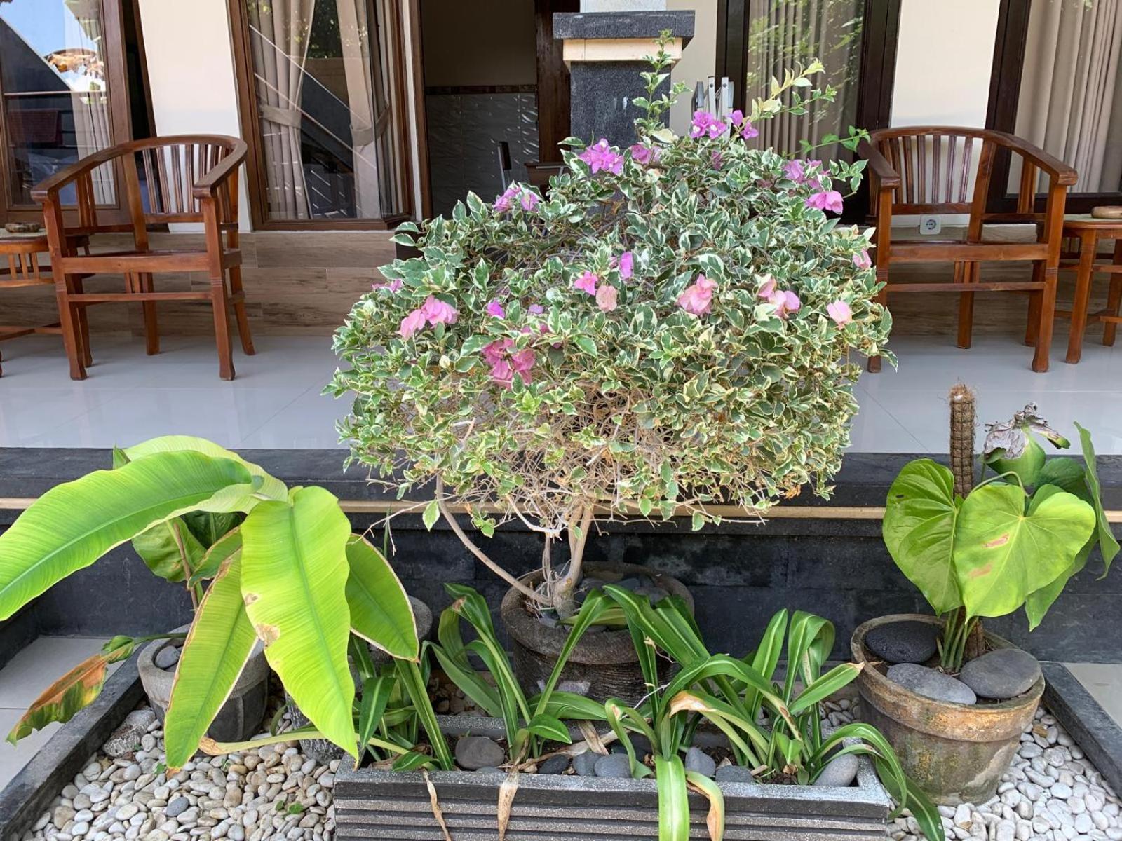 Jepun Inn ปาดังไบ ภายนอก รูปภาพ
